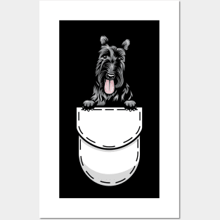 Funny Scottish Terrier Pocket Dog Posters and Art